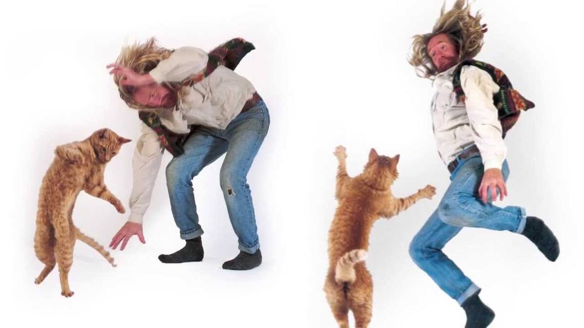 100 maneras de destapar una botella, bailes con gatos, consejos de taxistas y más