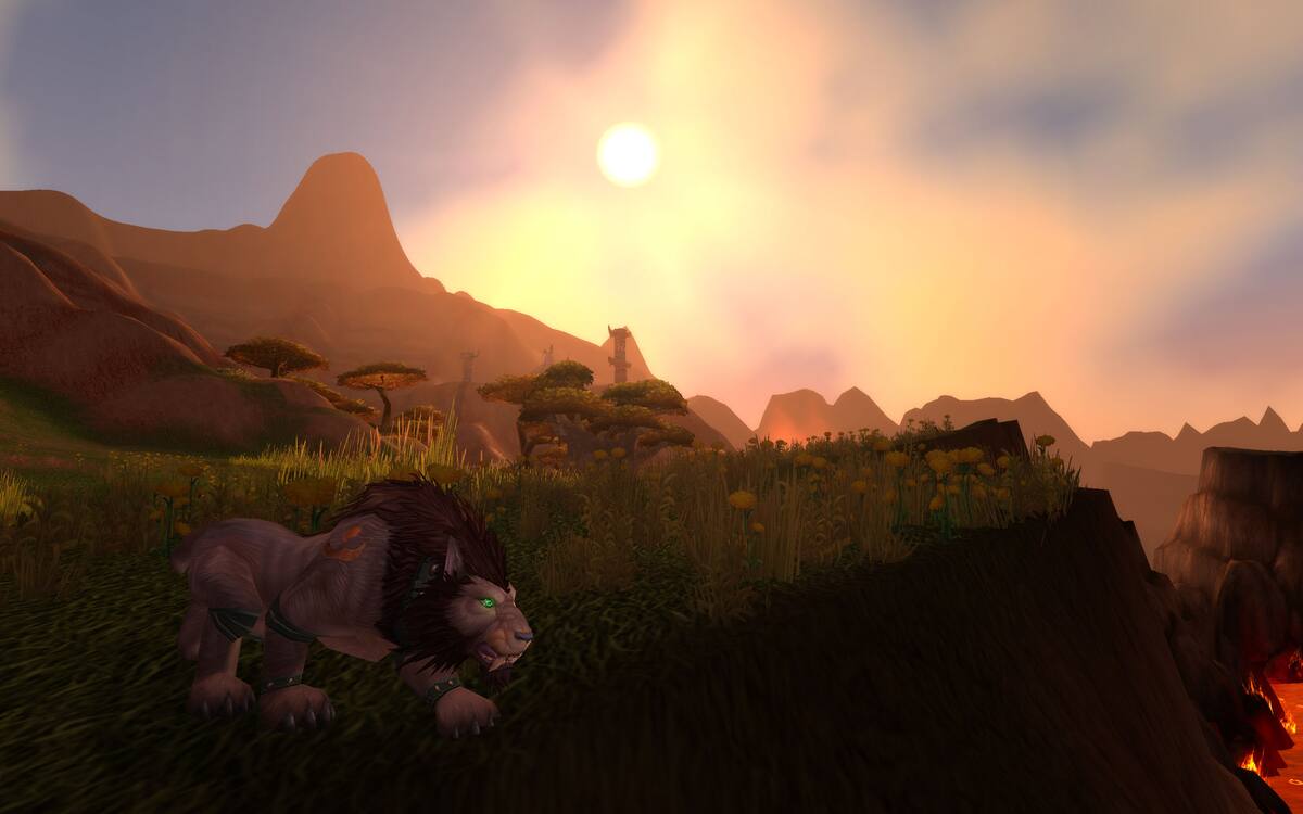 165512.jpg