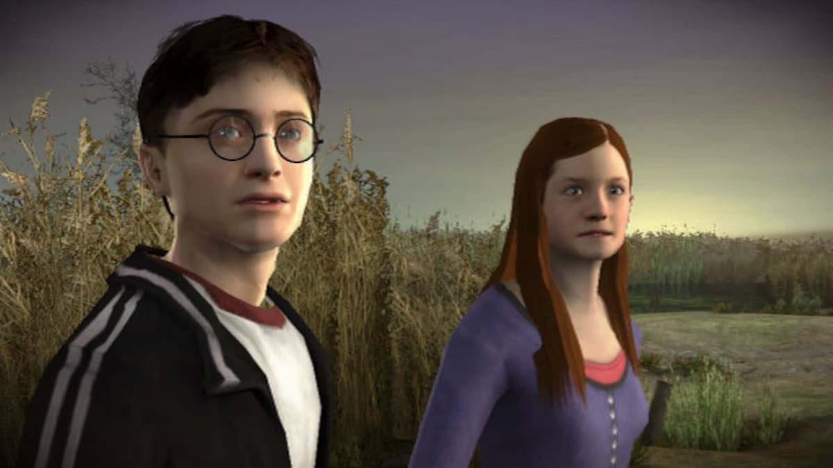 167602.jpg