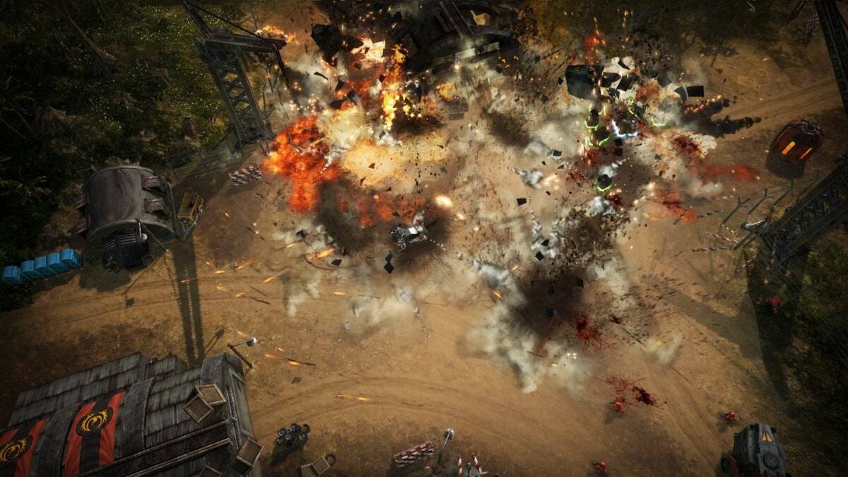 169232.jpg