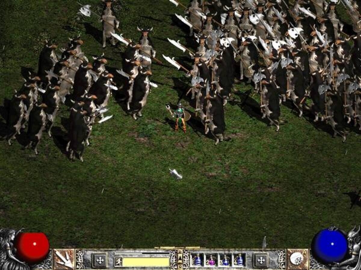 172970.jpg