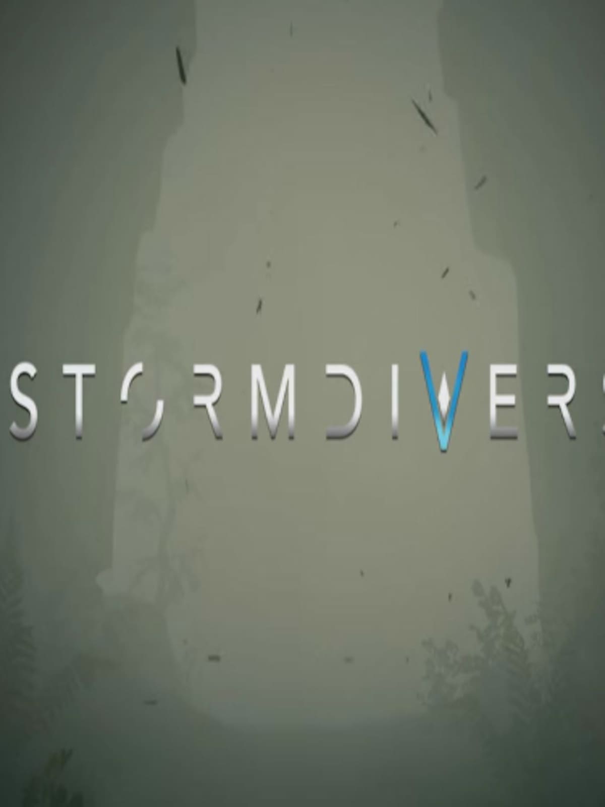 Stormdivers