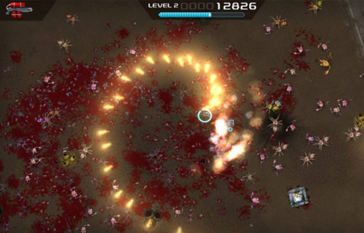 282505.jpg