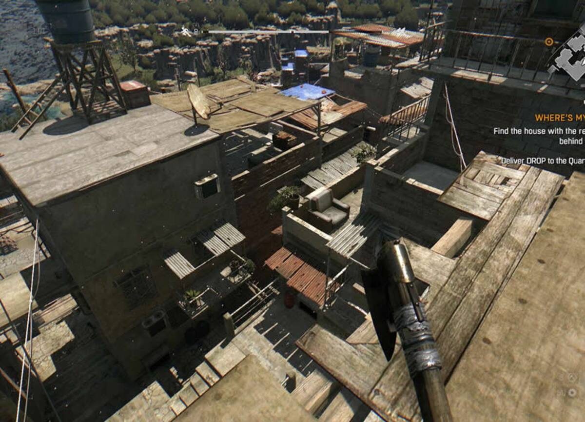 313588.jpg