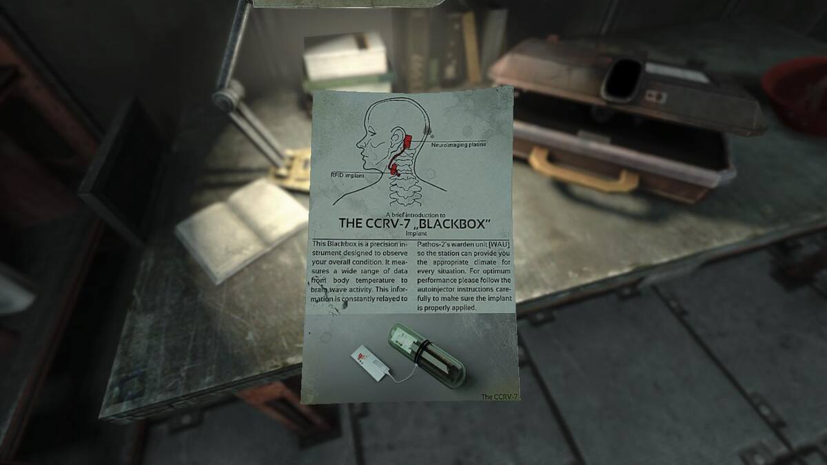 382646.jpg