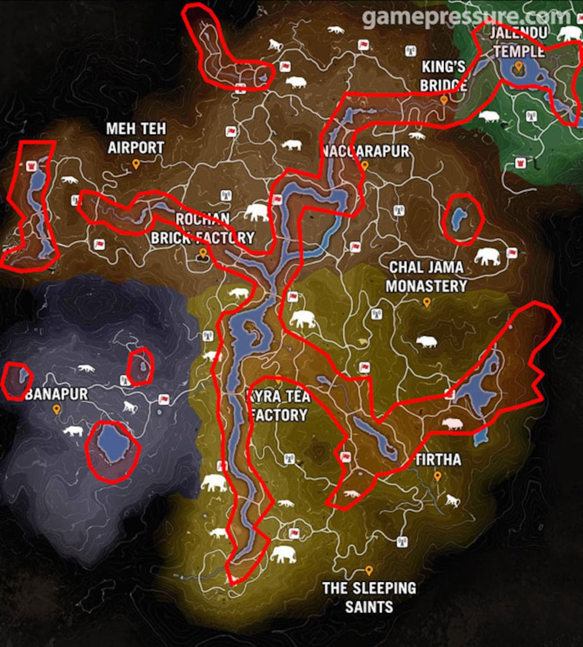 415074.jpg