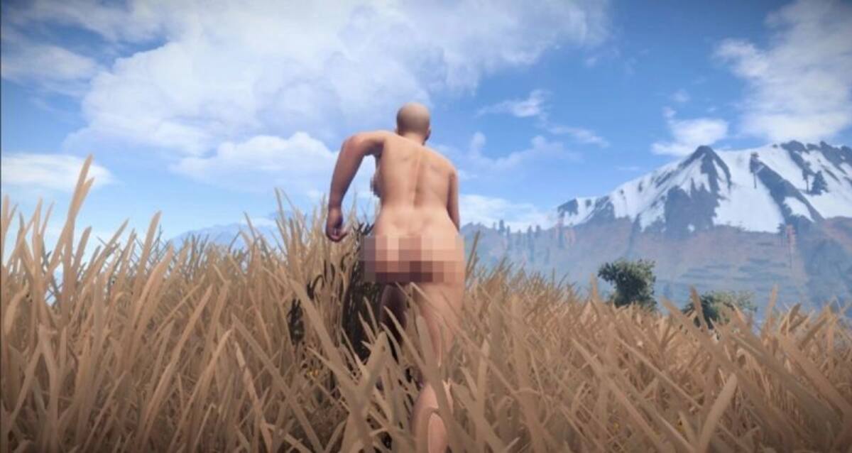 424377.jpg