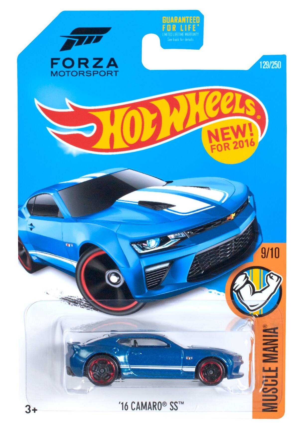429257.jpg