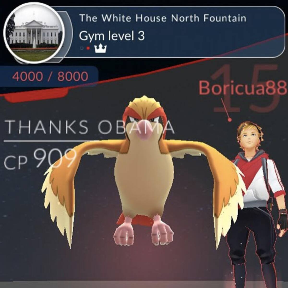 445274.jpg