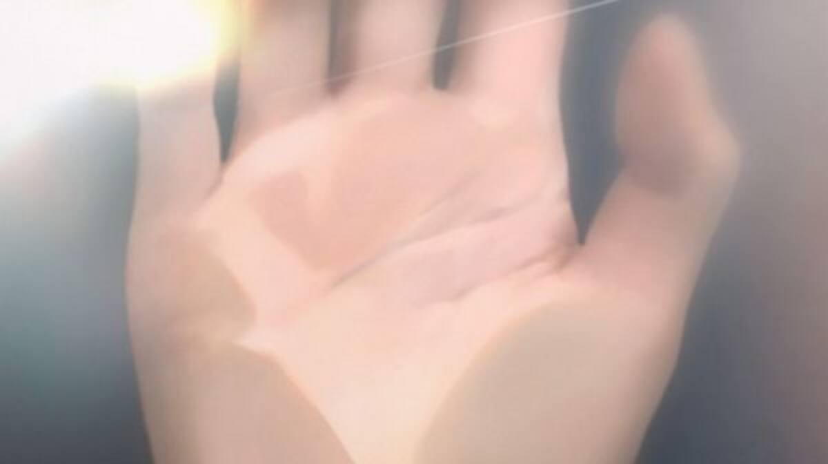 448516.jpg