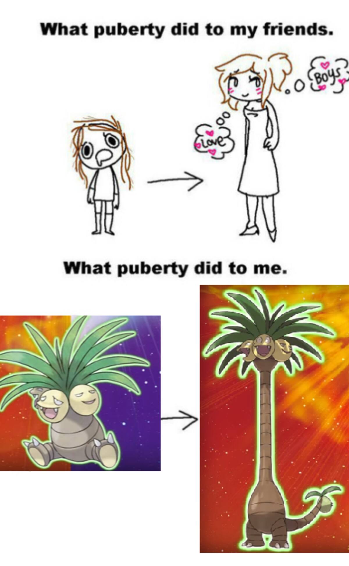 449015.png