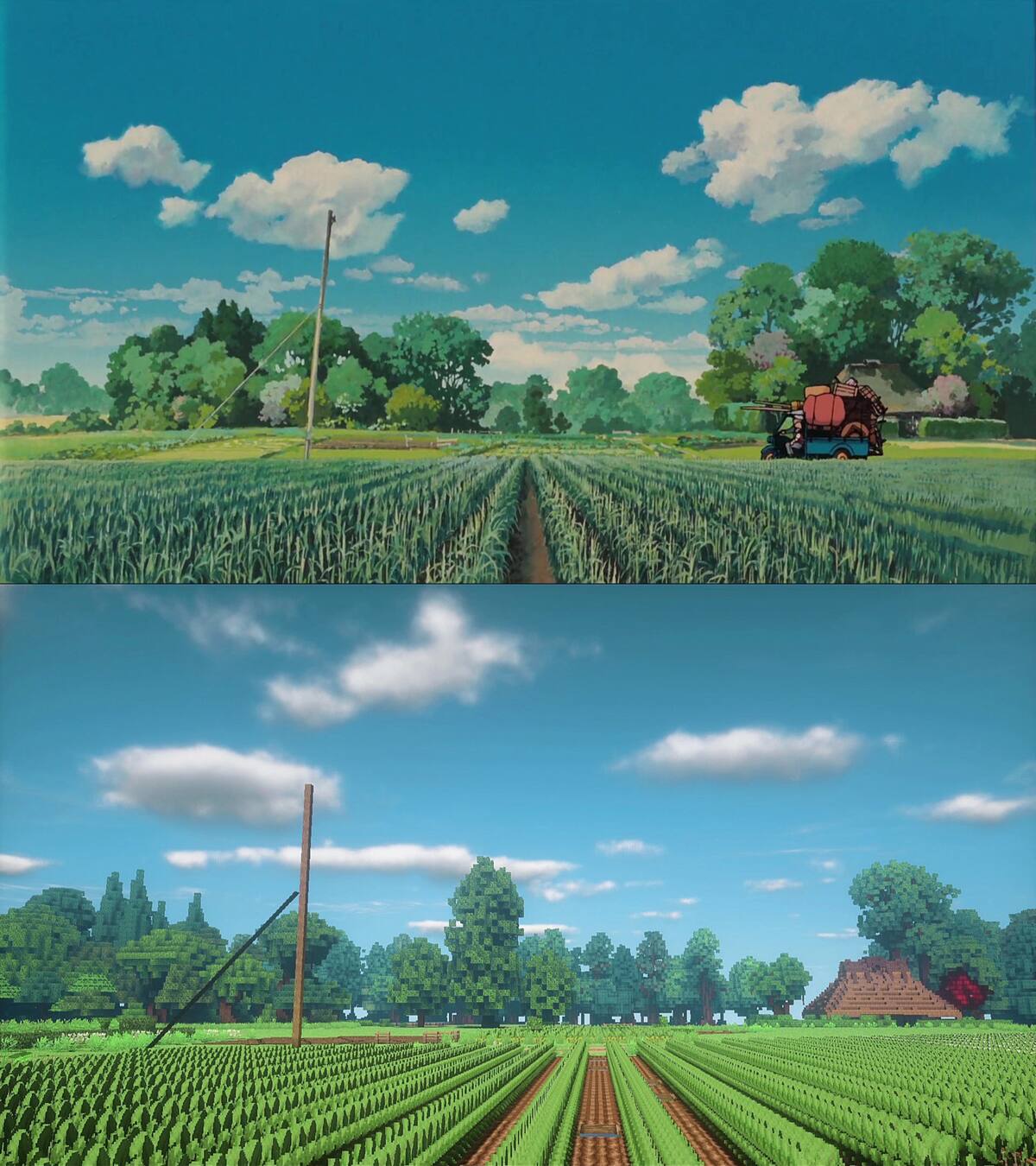 455415.jpg