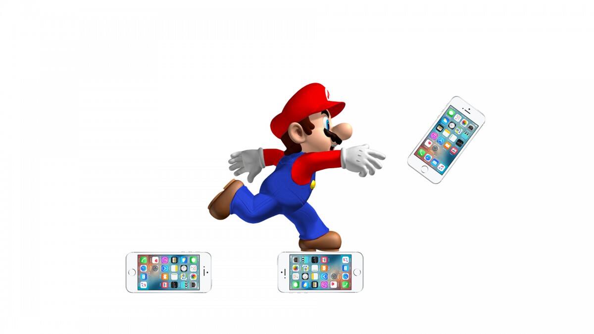 455563.jpg
