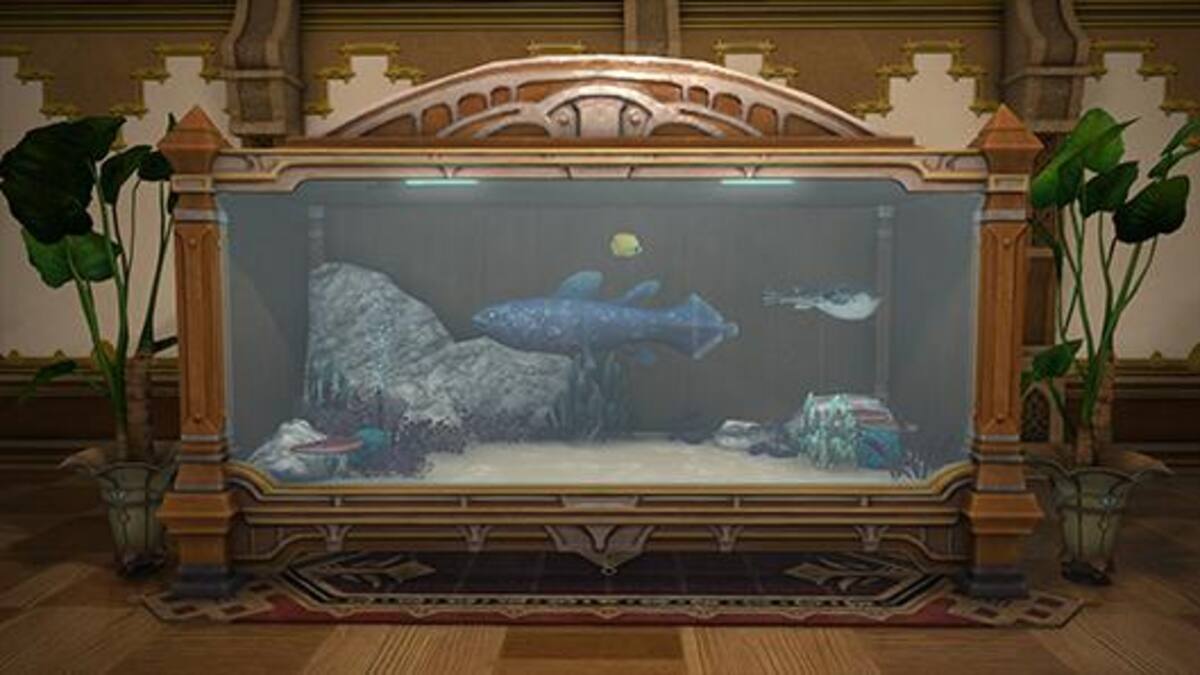458525.jpg