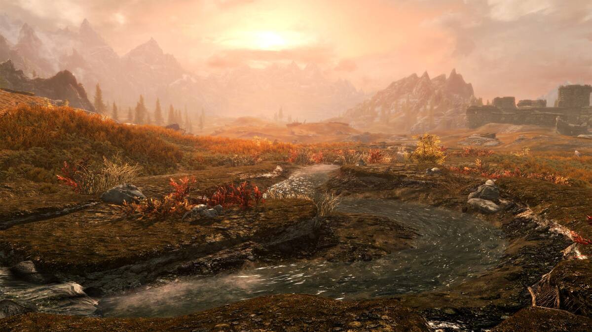 460102.jpg