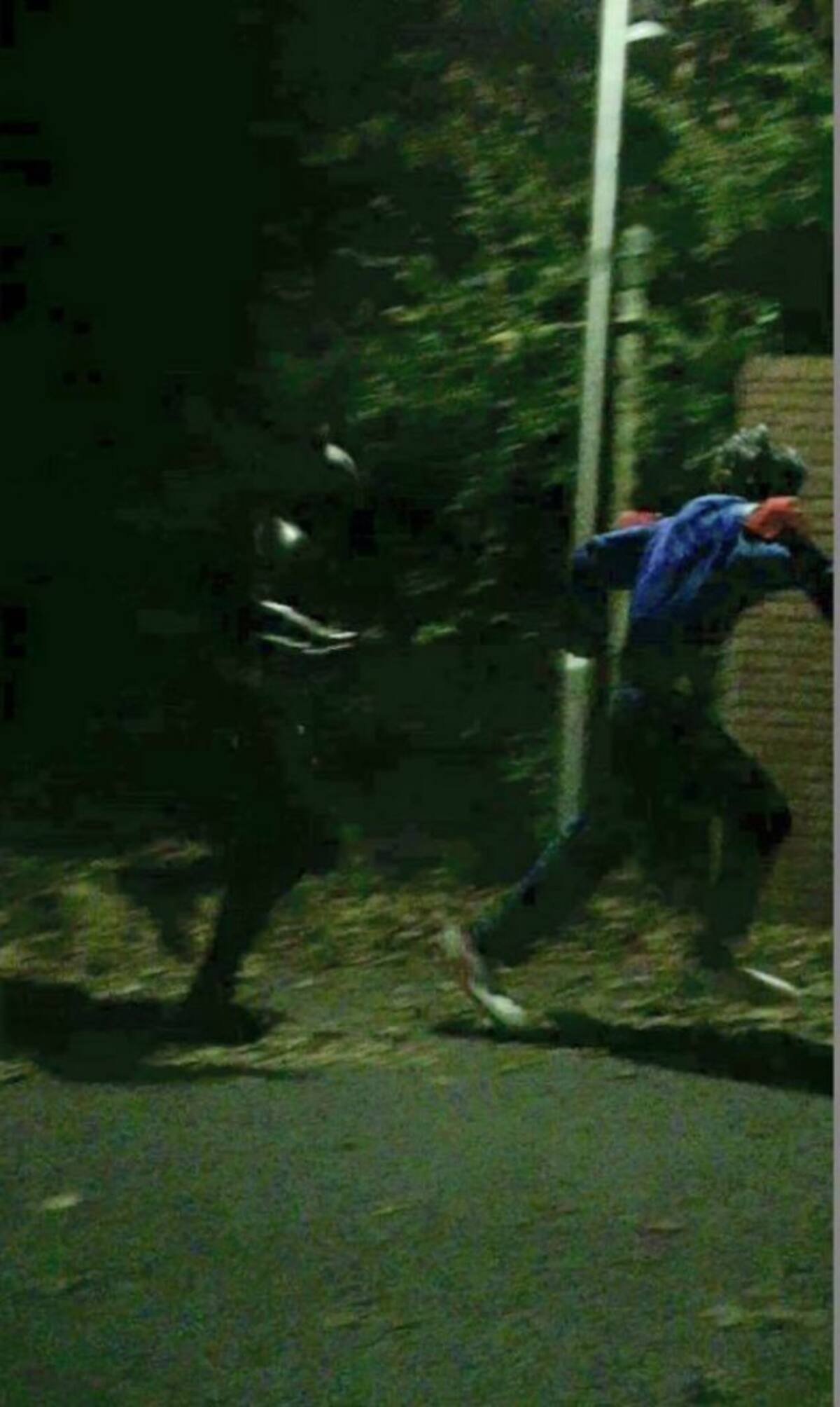 461706.jpg