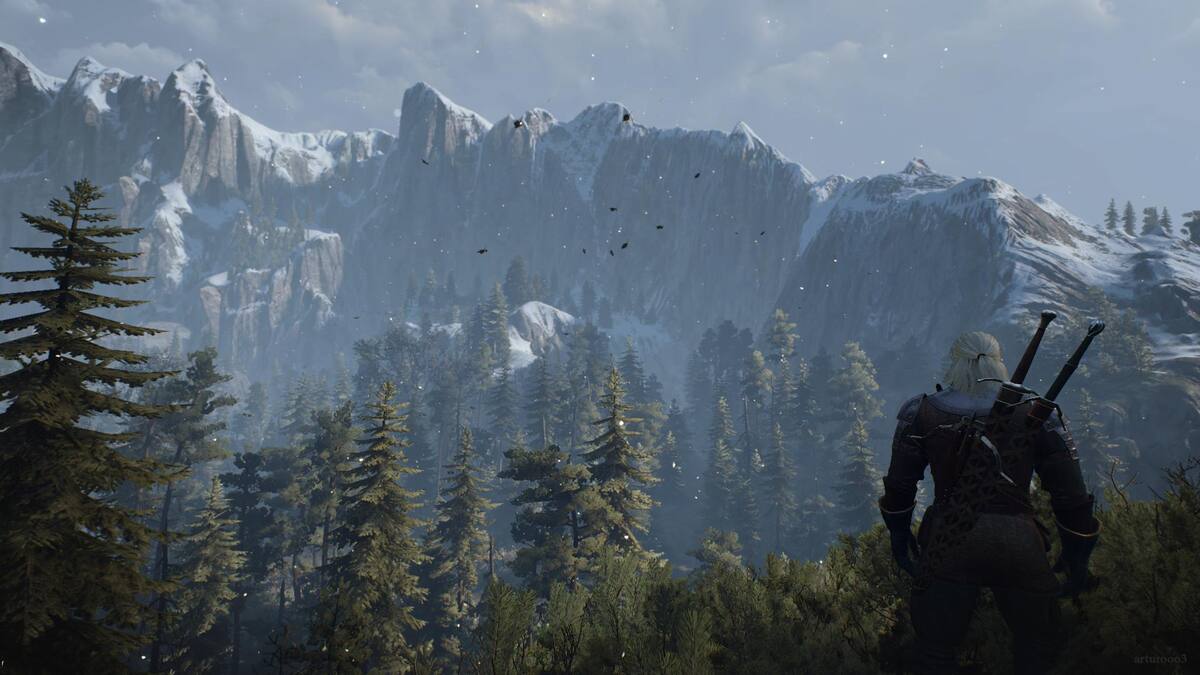 473033.jpg