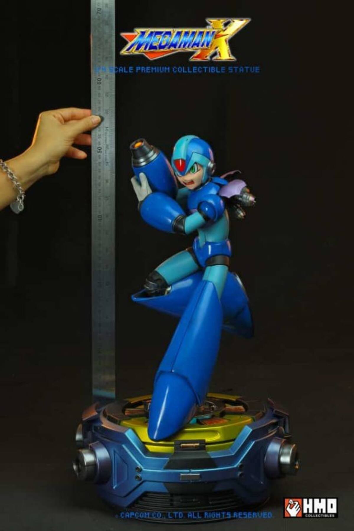 502290.jpg