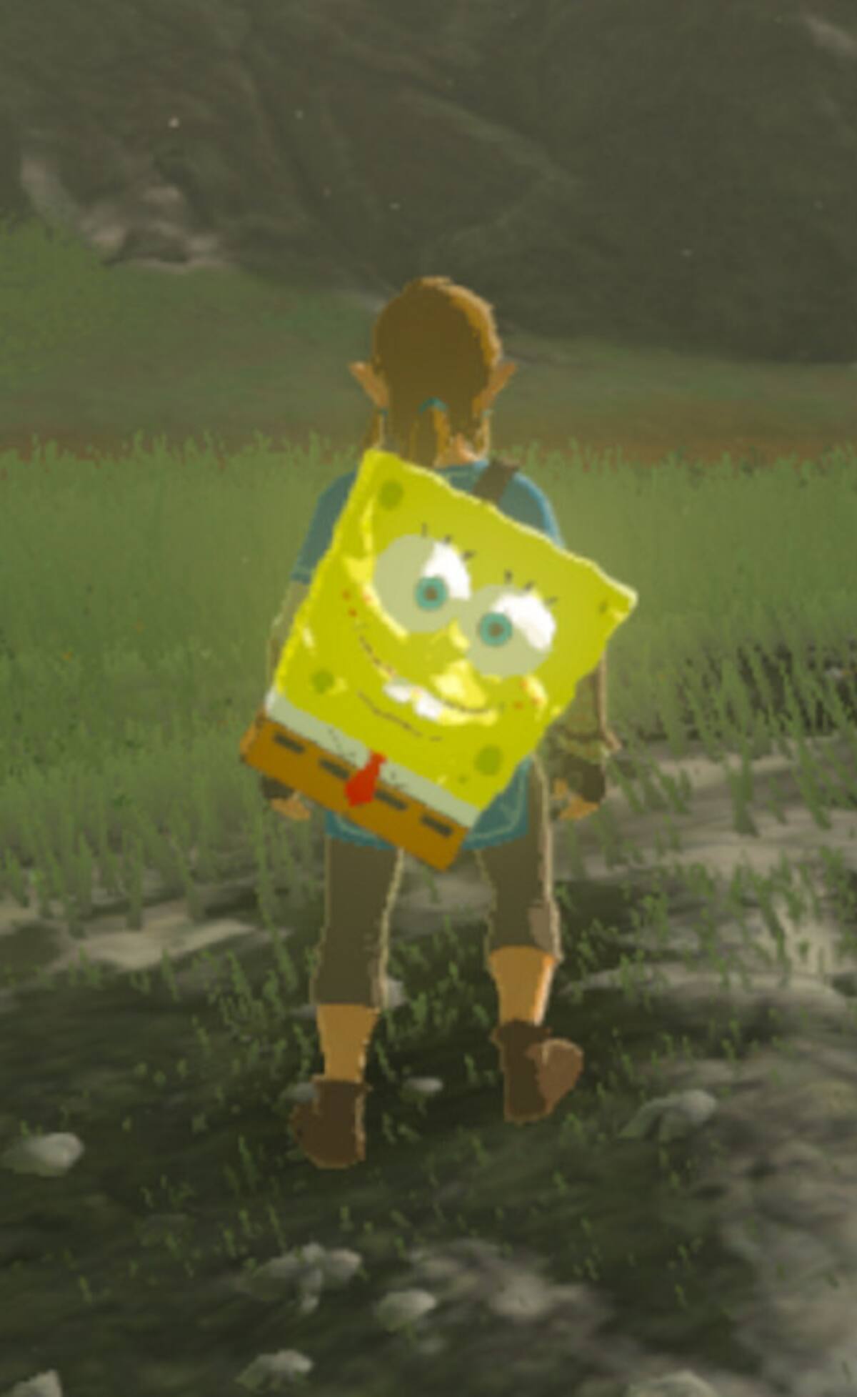 523822.jpg