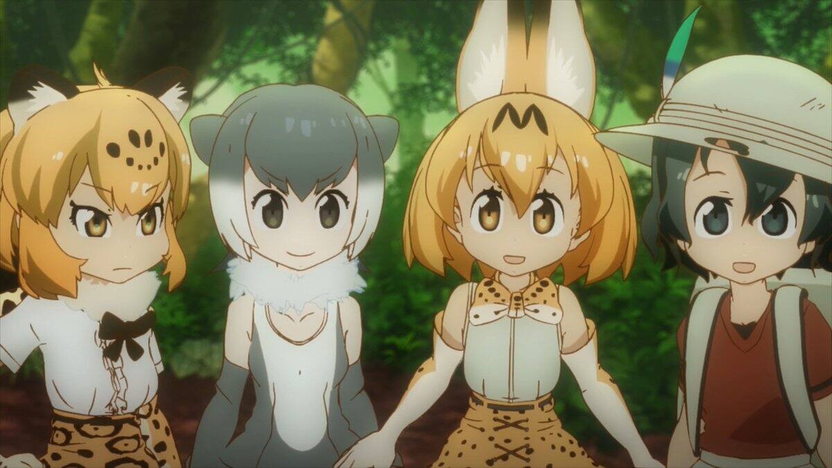 538107.jpg