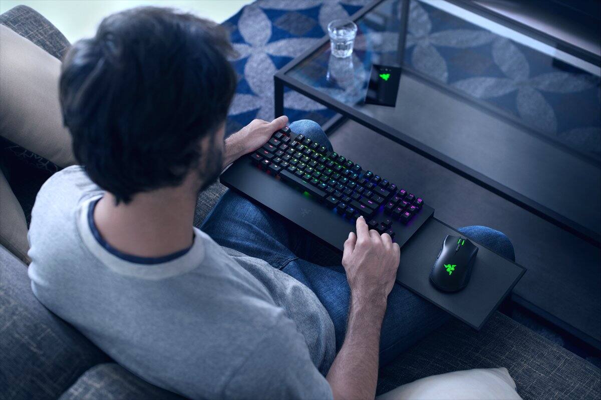 585561.jpg