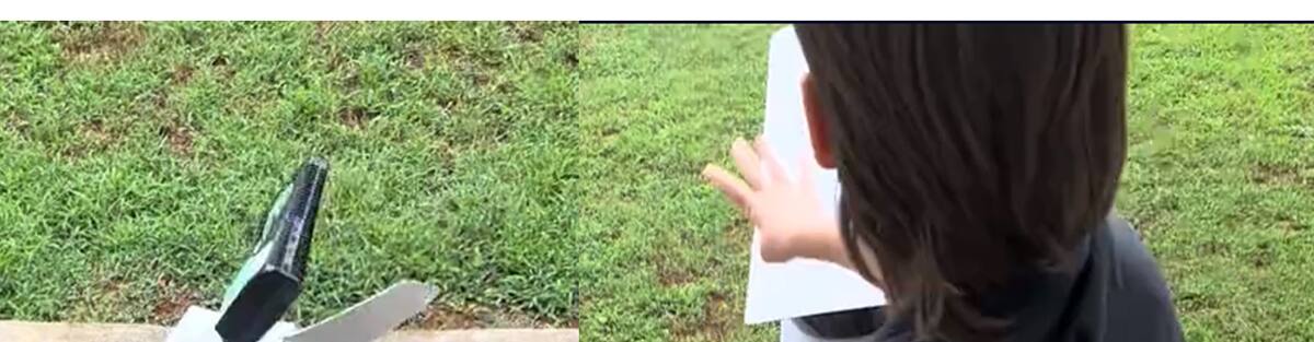 The kid, who is a WWE enthusiast, reacted poorly to Roman Reigns' victory
