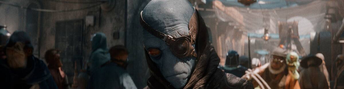 Further expanding the vast universe of the franchise