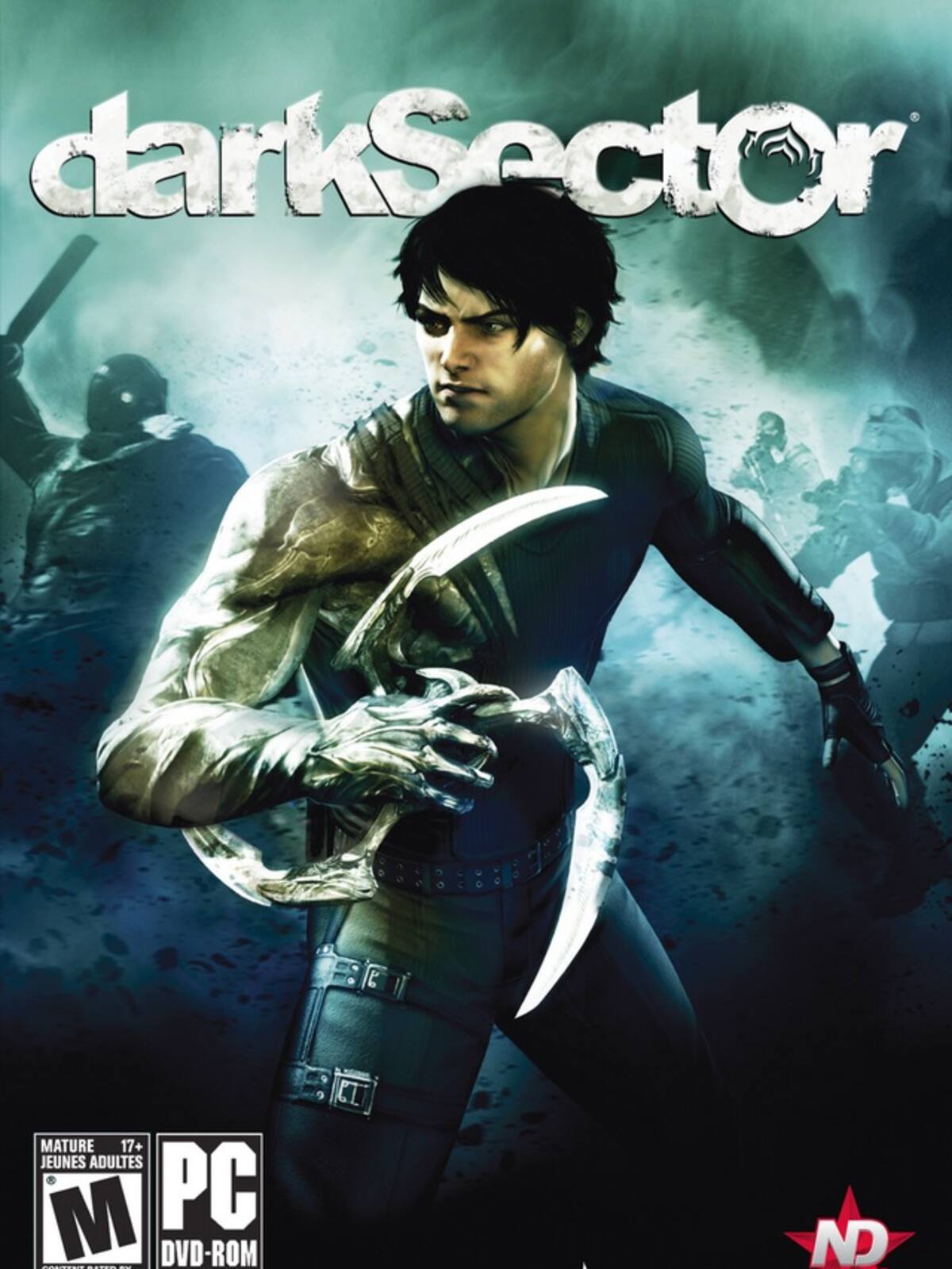 Dark Sector