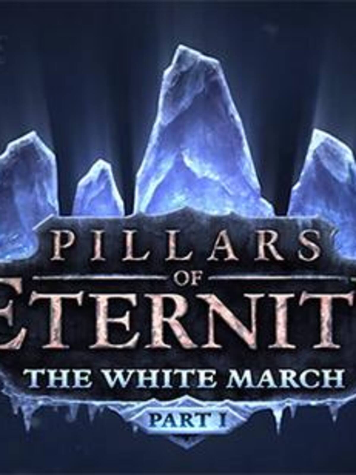 Pillars of Eternity The White March Part 1