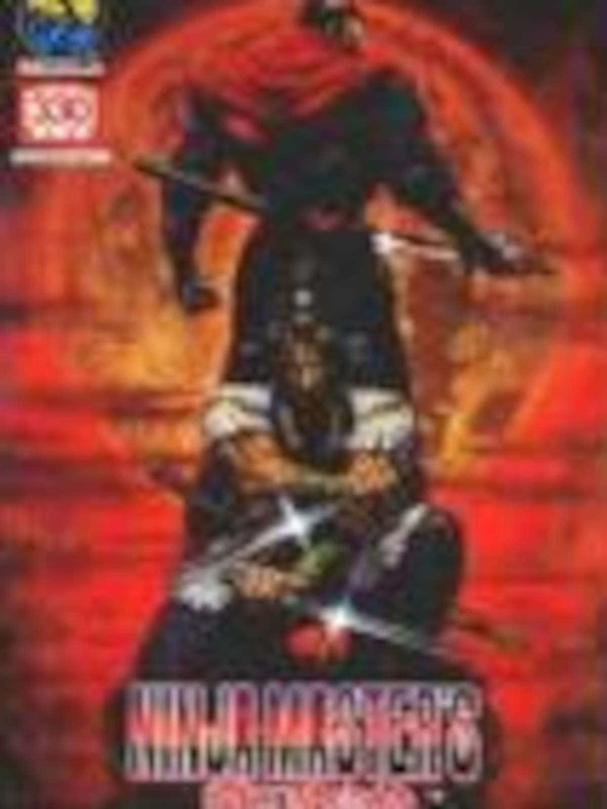 Ninja Masters