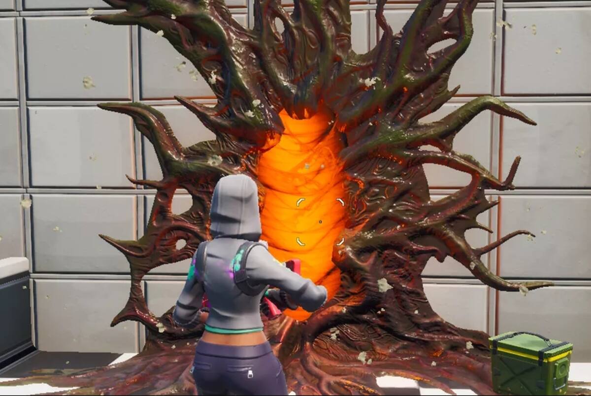 609495.jpg
