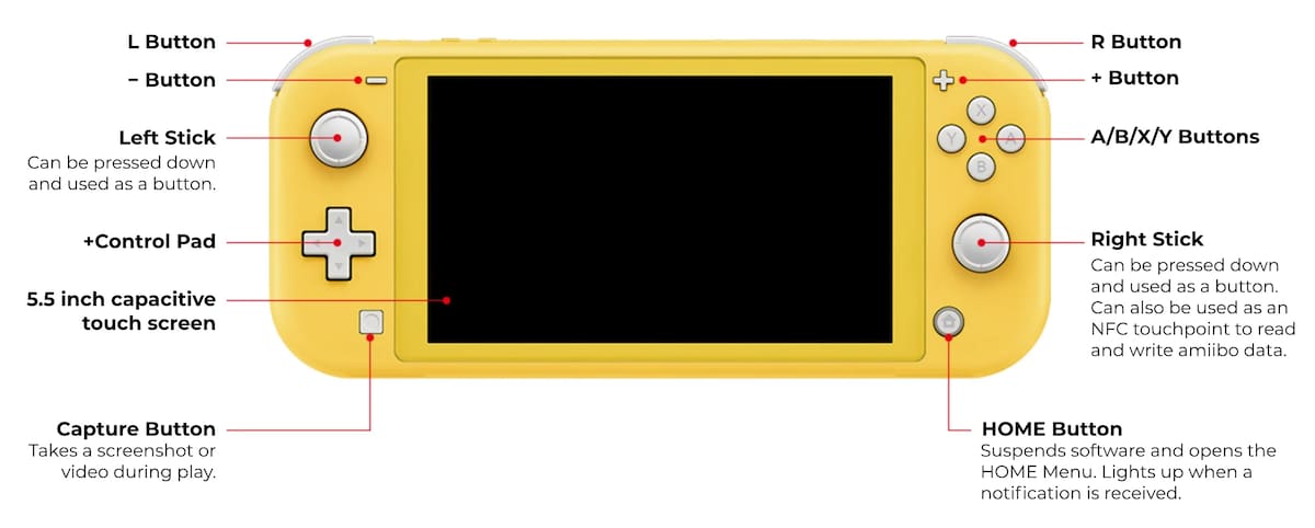 610317.jpg