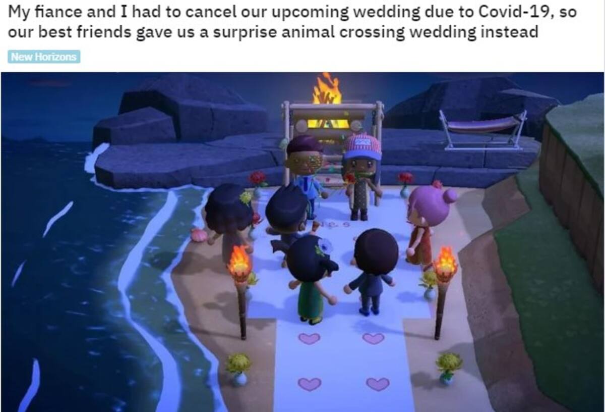 638572.jpg
