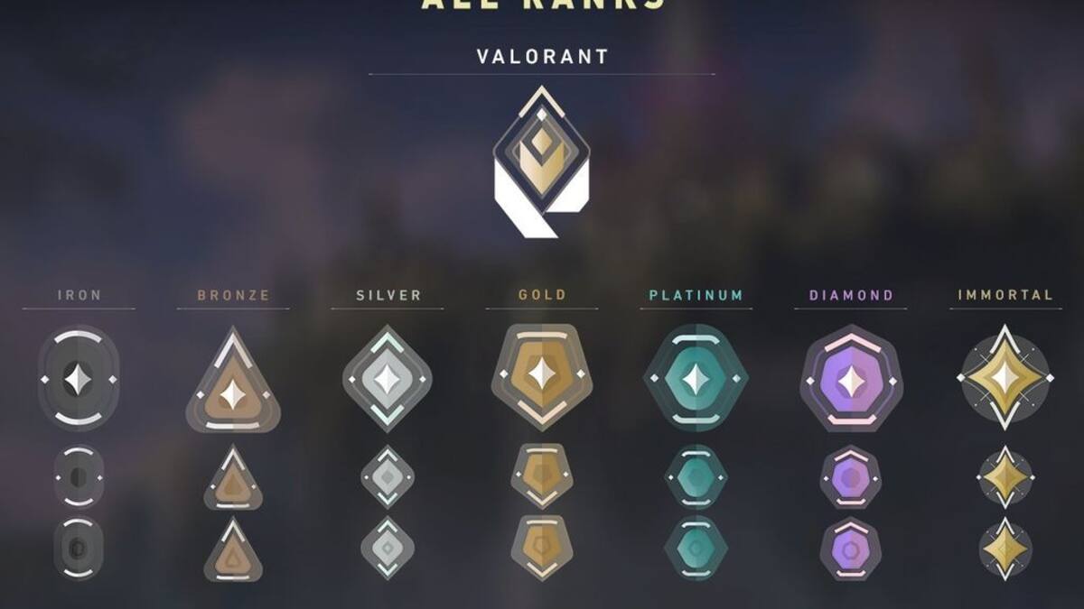 642843.jpg