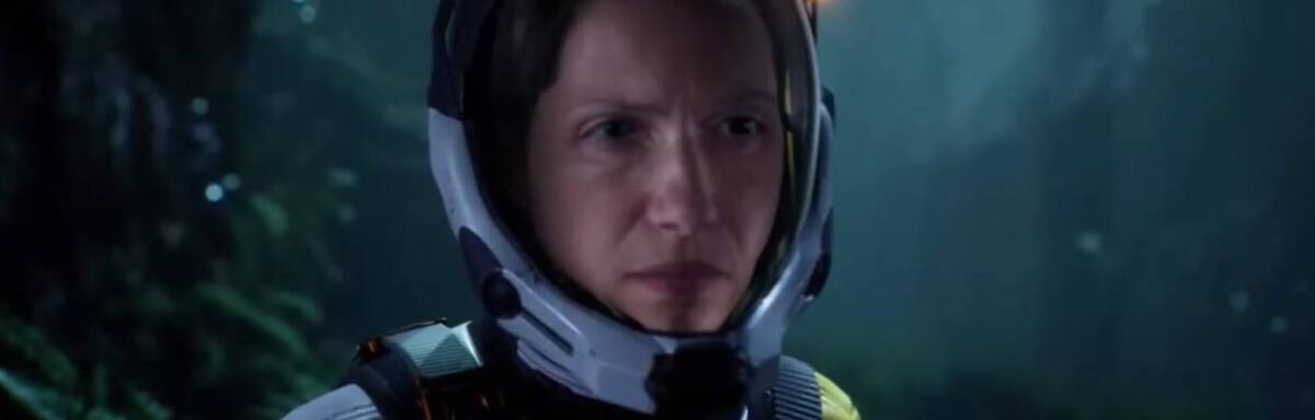 649567.jpg