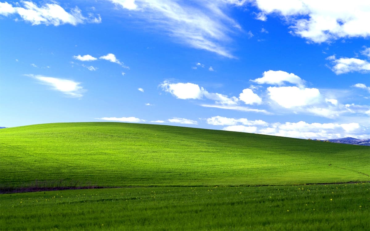 659769.jpg