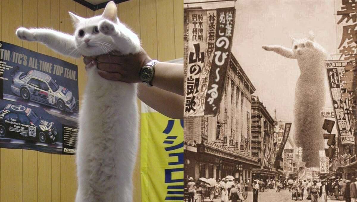 663282.jpg