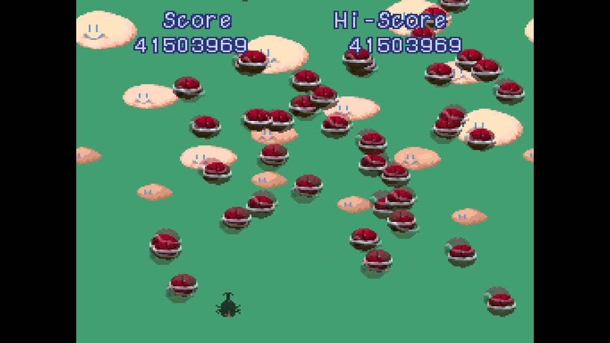 665538.jpg