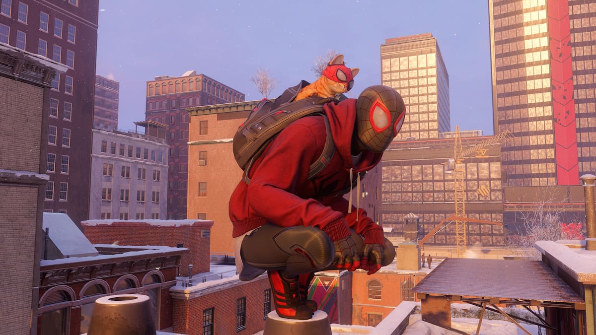669509.jpg