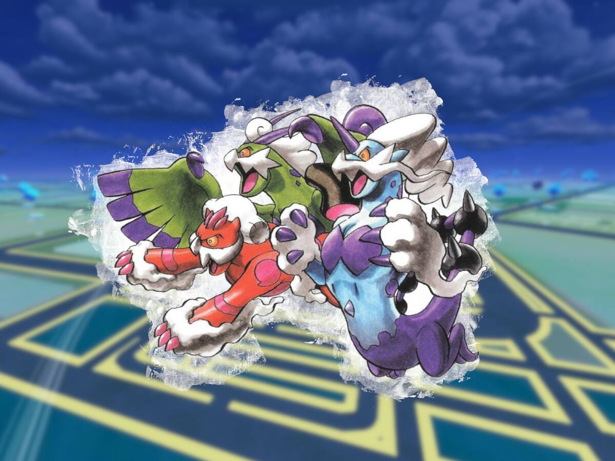 681457.jpg