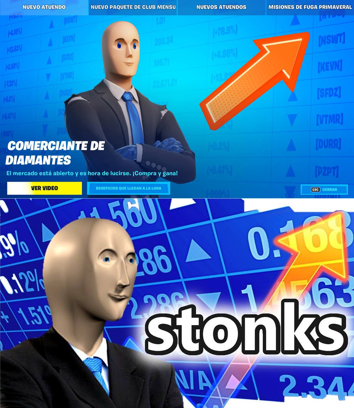 685810.jpg