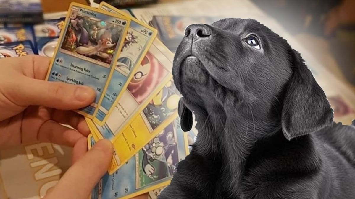 694521.jpg