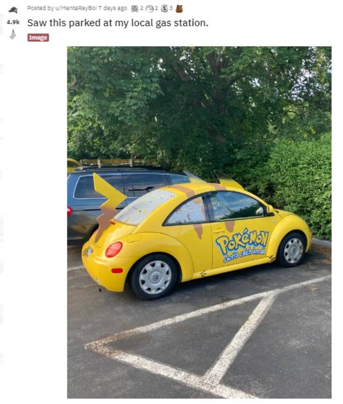 698207.jpg