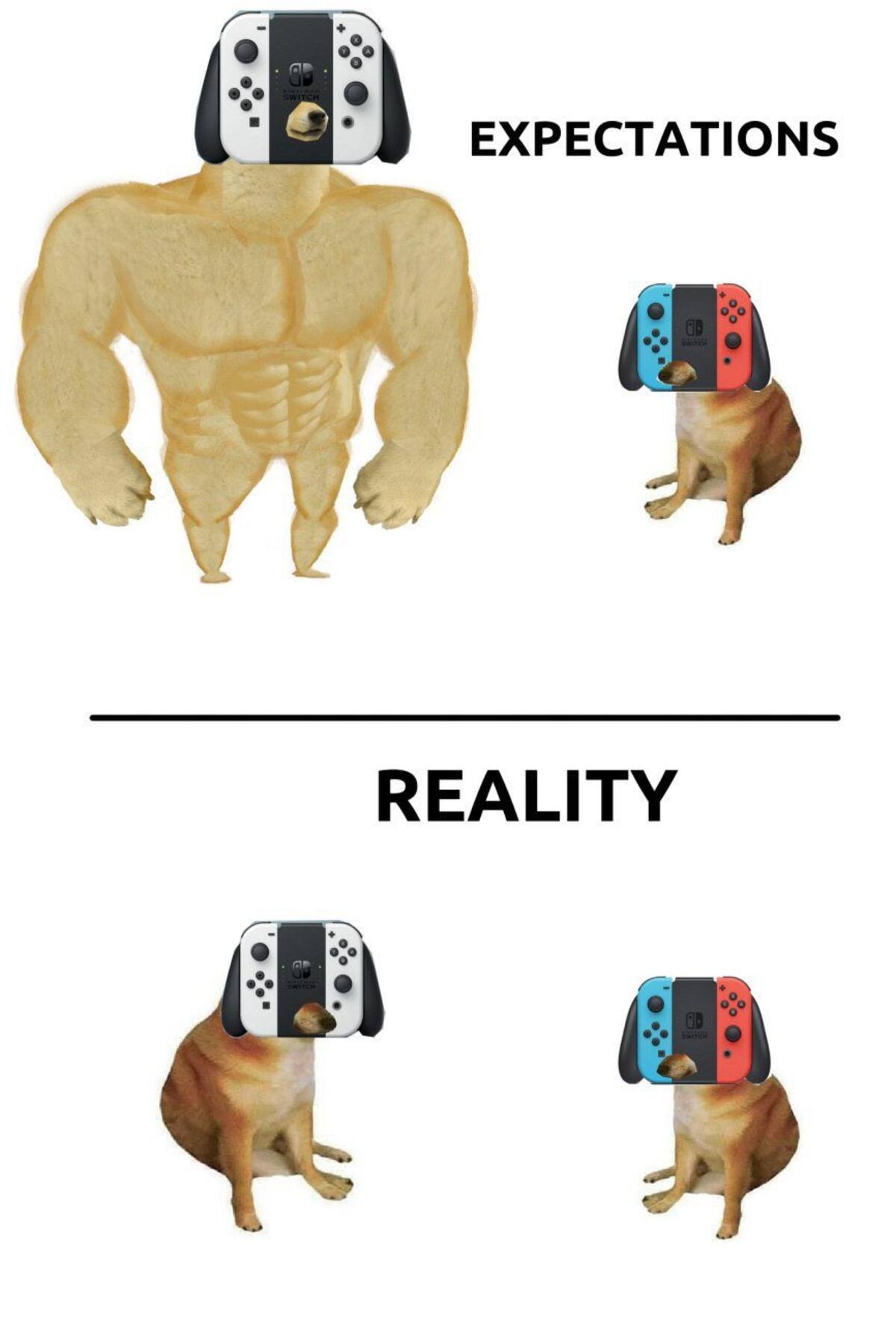 700295.jpg