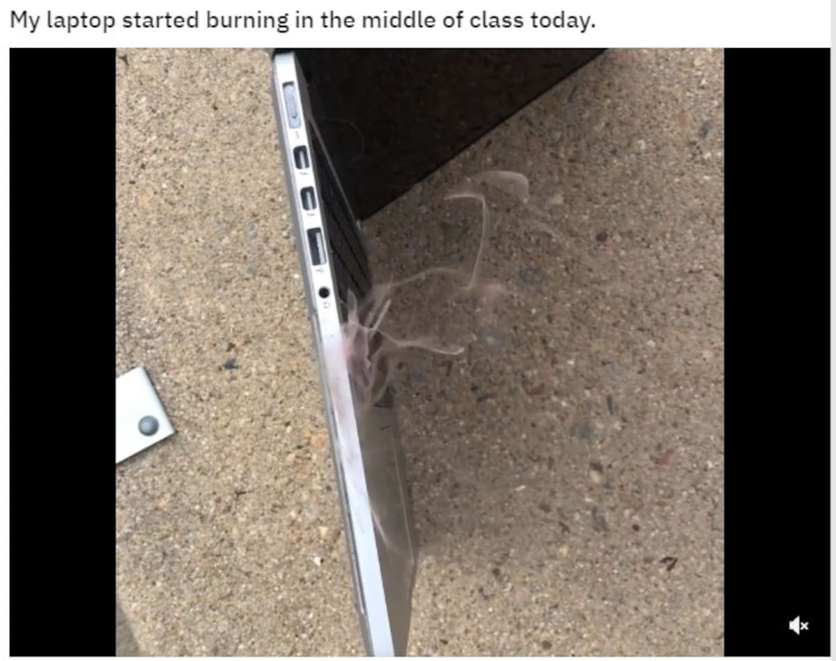 713275.jpg
