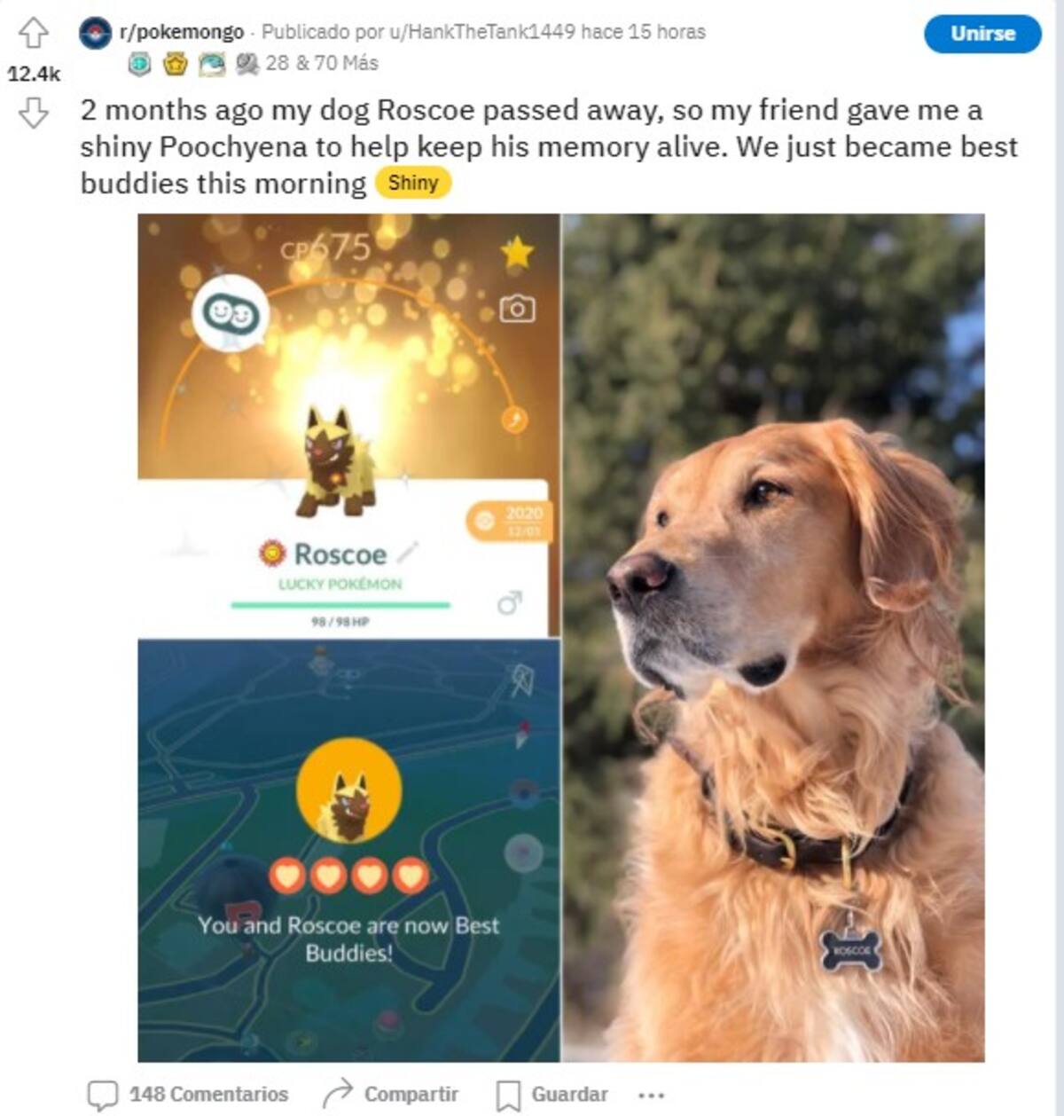 724979.jpg