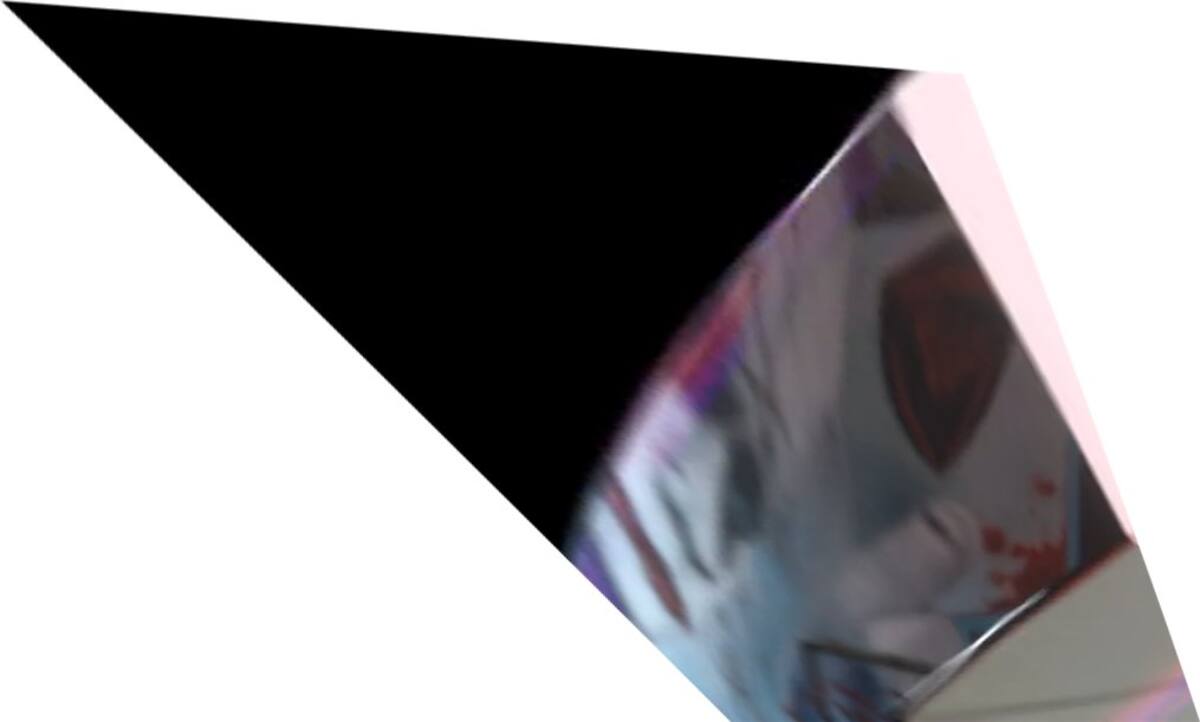 728873.jpg