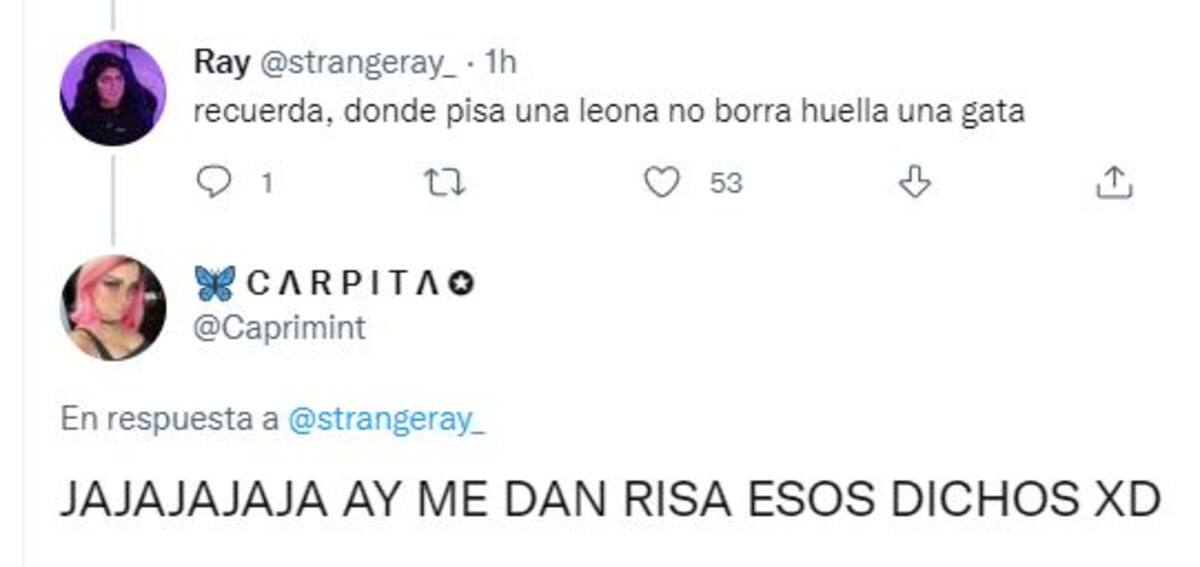 729406.jpg
