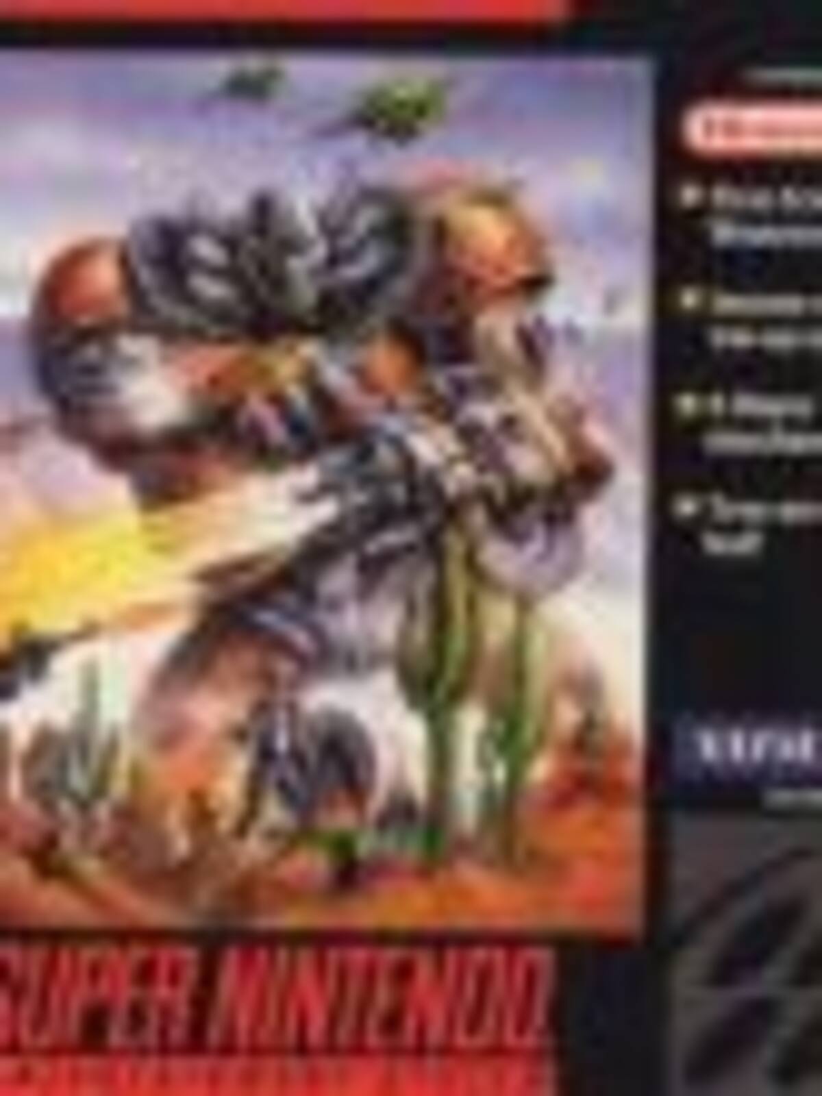 Wild Guns