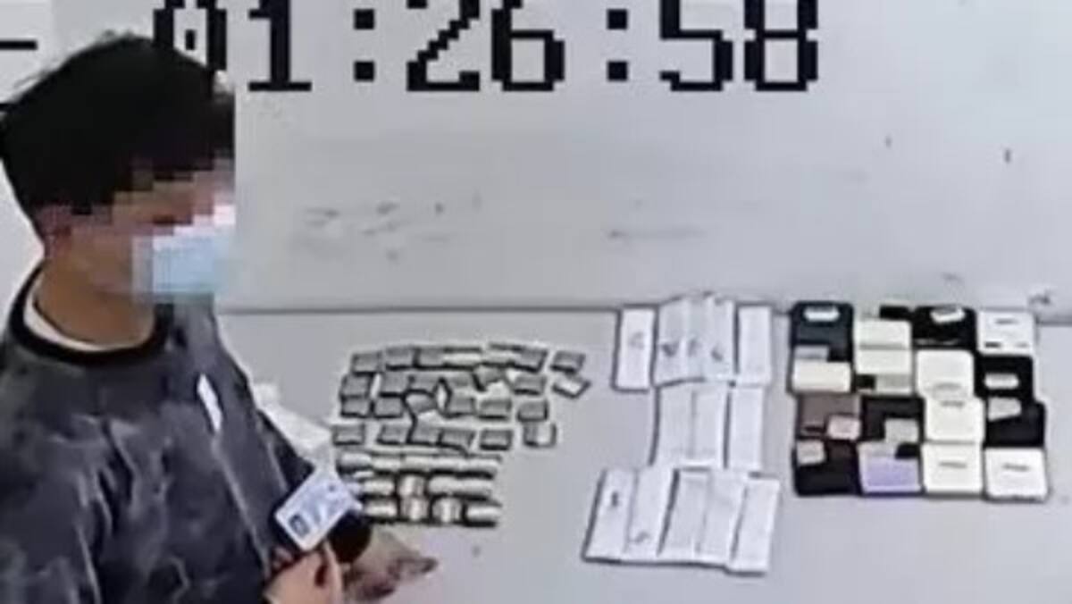 732309.jpg